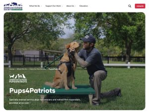 AmericanHumanePups4PatriotsServiceDogsforVeterans