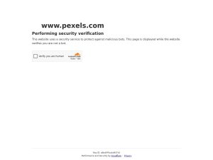 FreeMilitaryPhotosPexels